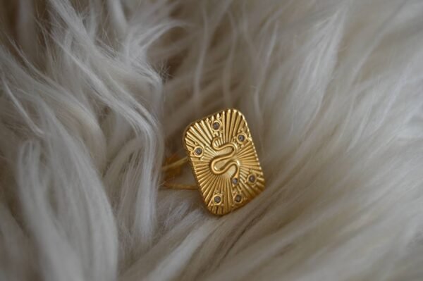 Anillo Snake Ajustable