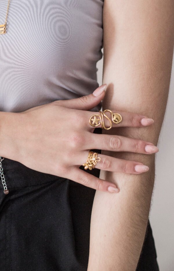 Anillo Shell