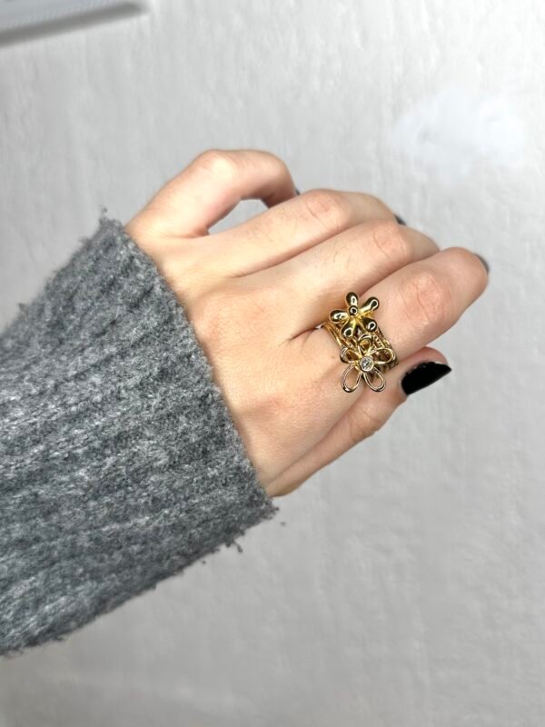 Anillo Spring